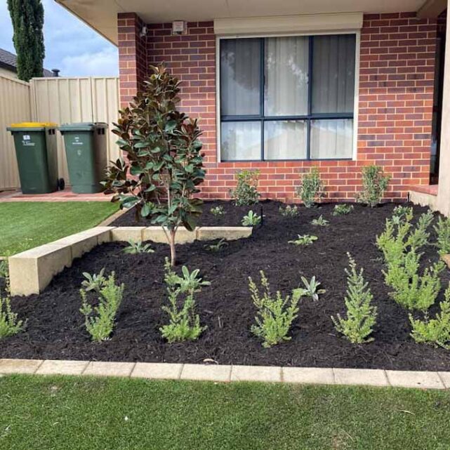 Garden Maintenance Perth Garden Maintenance Services Near Me, Rose