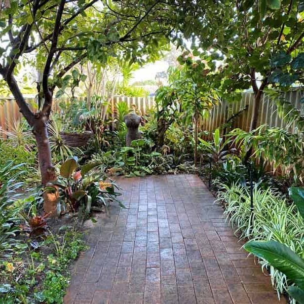 Garden Maintenance Perth | Garden Maintenance Services Near Me, Rose ...