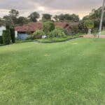 Lawn Mowing Perth